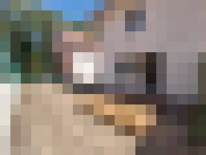  / #7