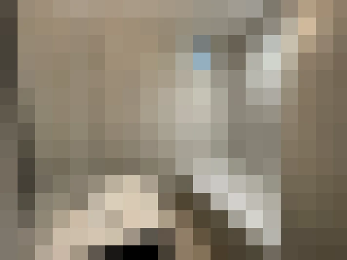  / #13