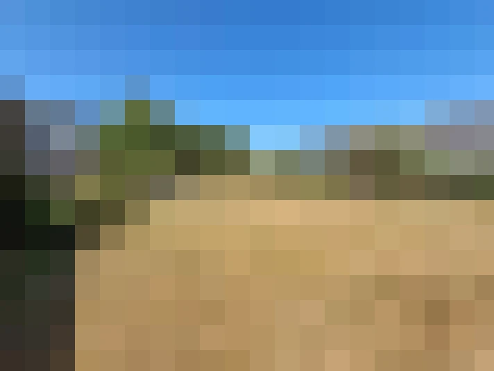  / #15