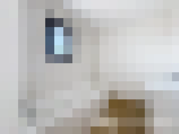  / #8