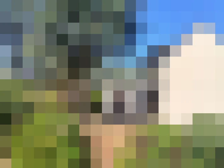  / #11