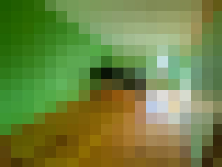  / #18