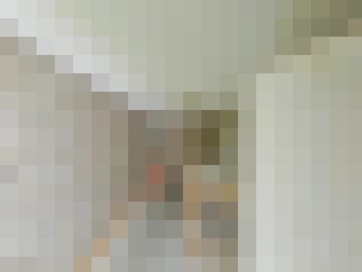  / #19