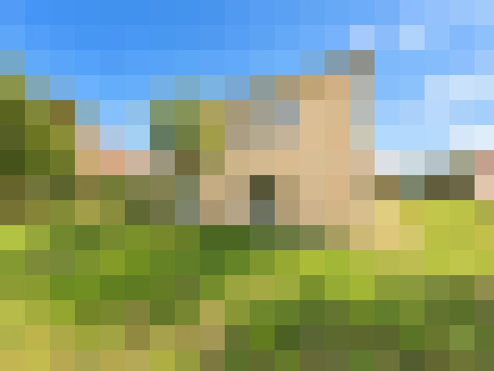  / #7