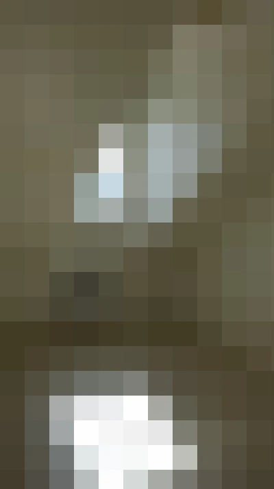  / #11