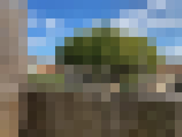  / #6