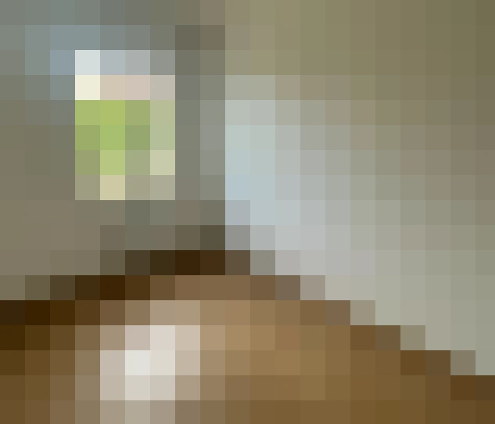  / #8
