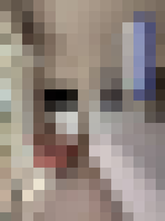  / #12
