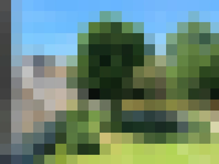  / #8