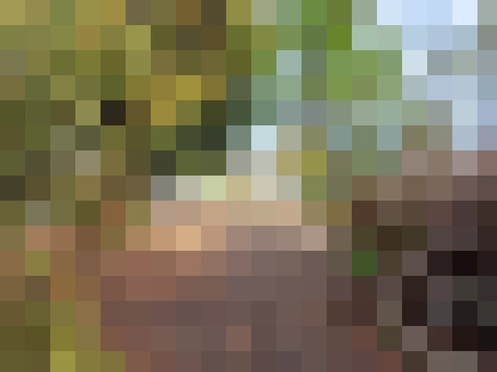 / #17