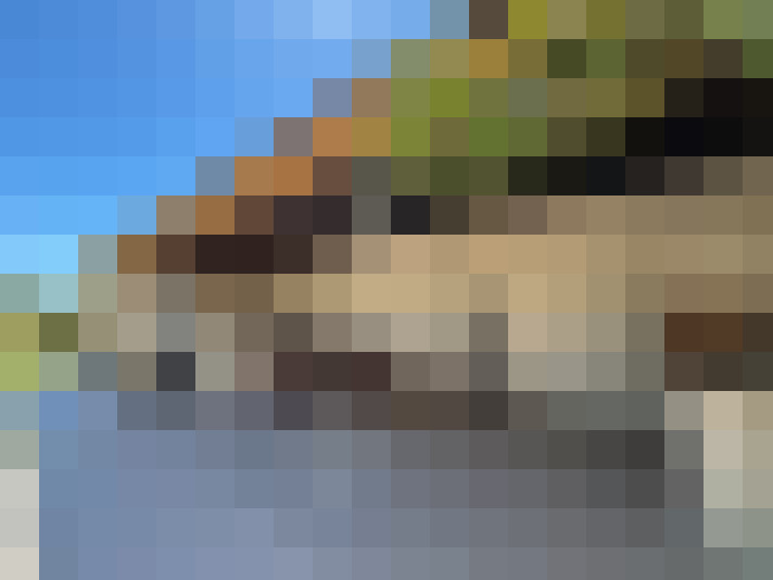  / #11