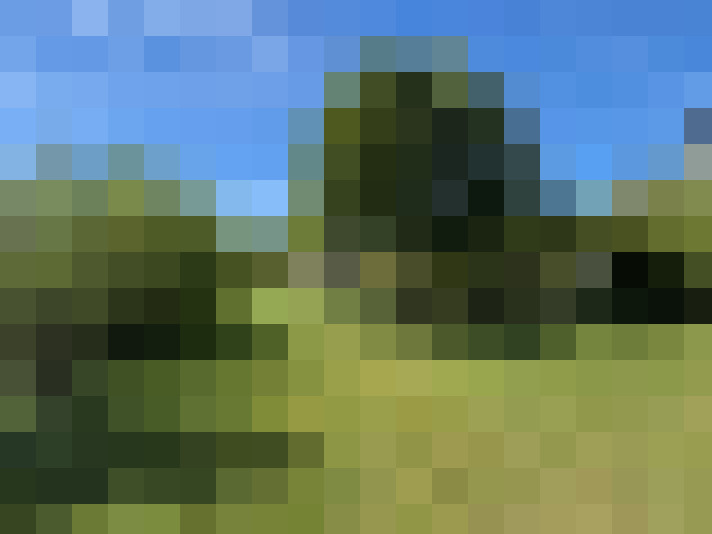  / #14