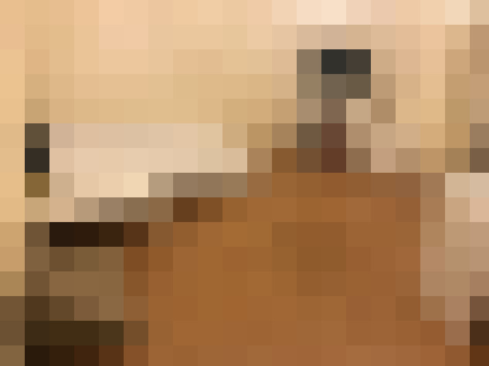  / #2