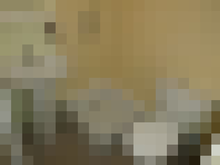  / #6