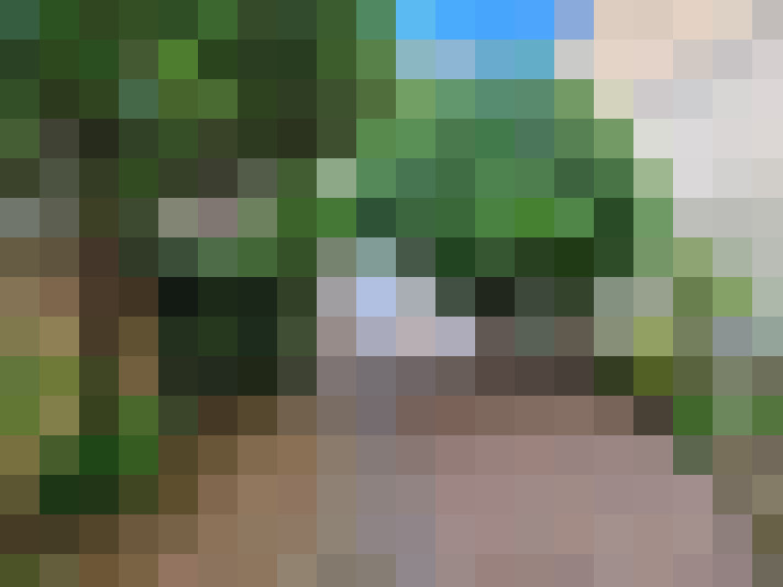  / #14