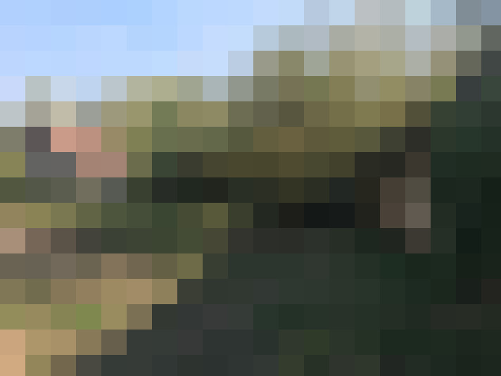  / #7