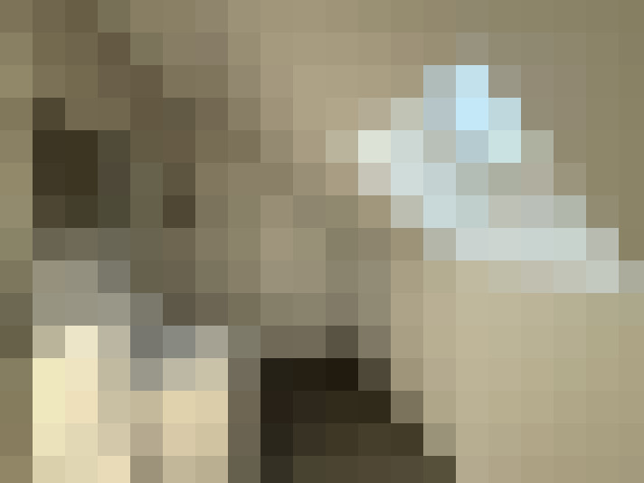  / #8