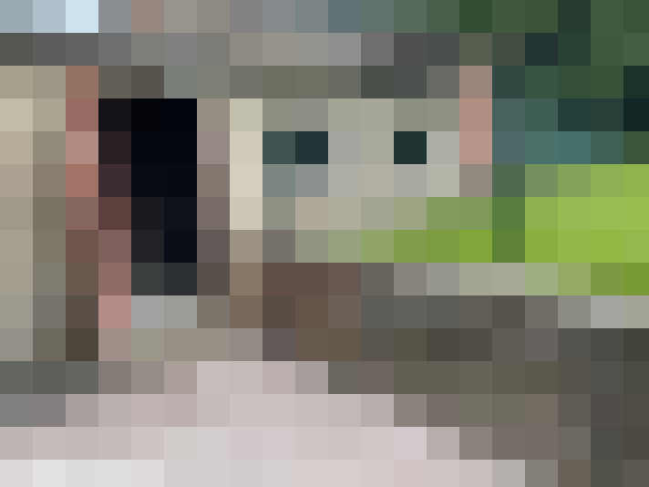  / #11