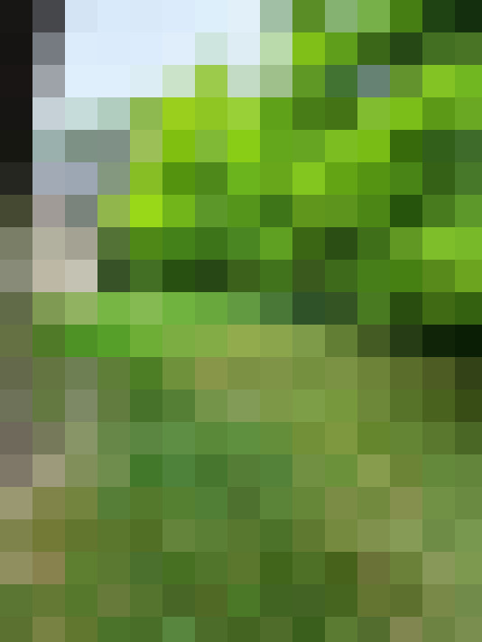  / #14