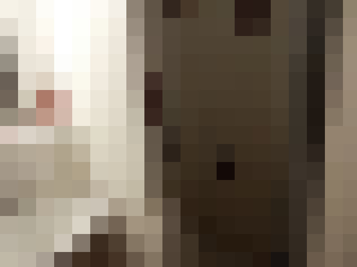  / #6