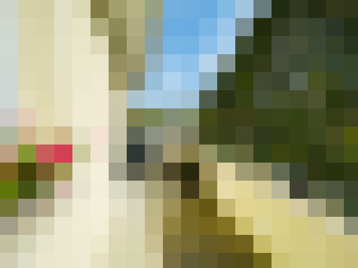  / #14