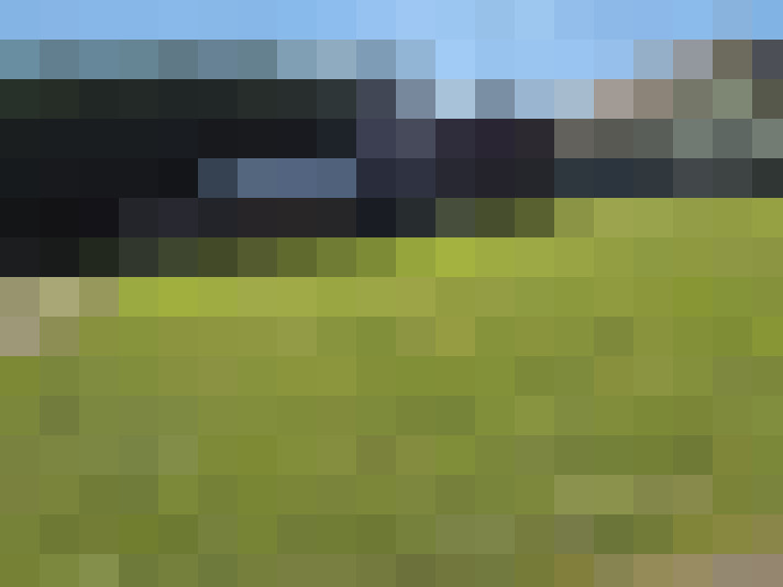  / #7