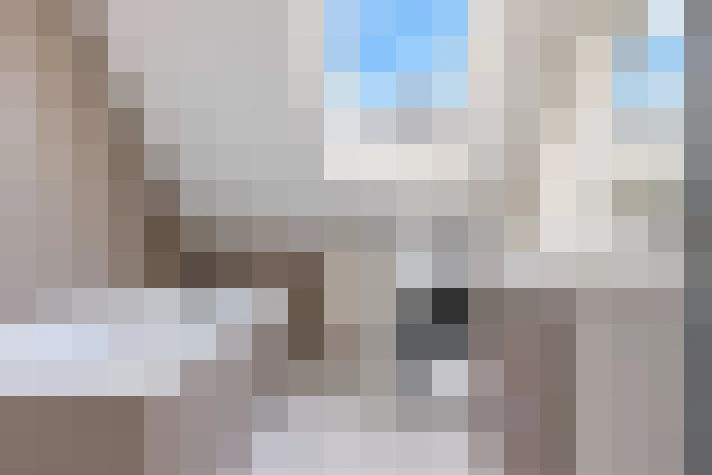  / #11