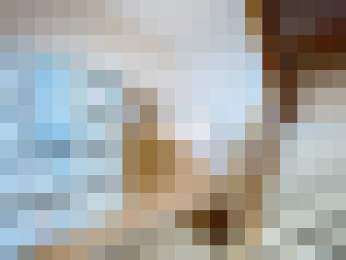  / #16
