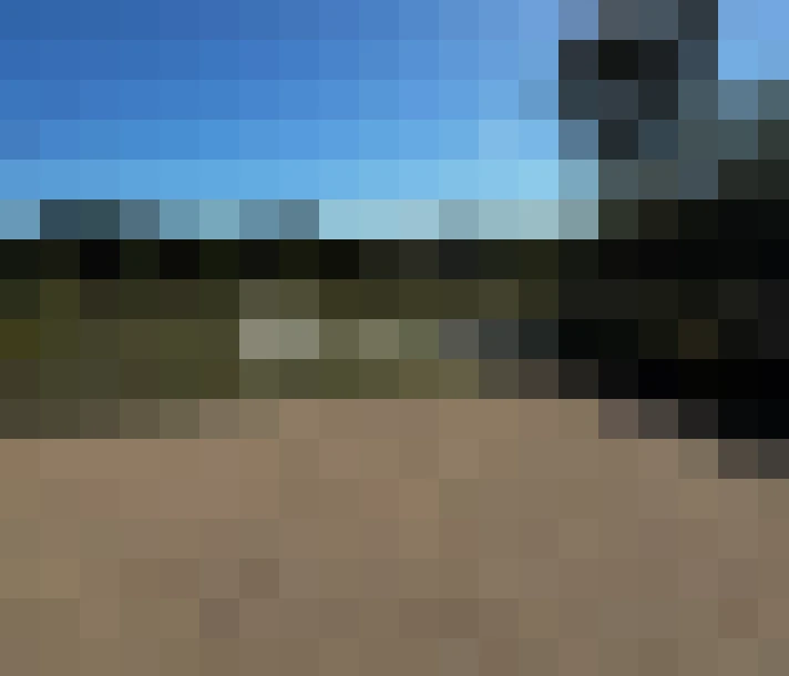  / #15