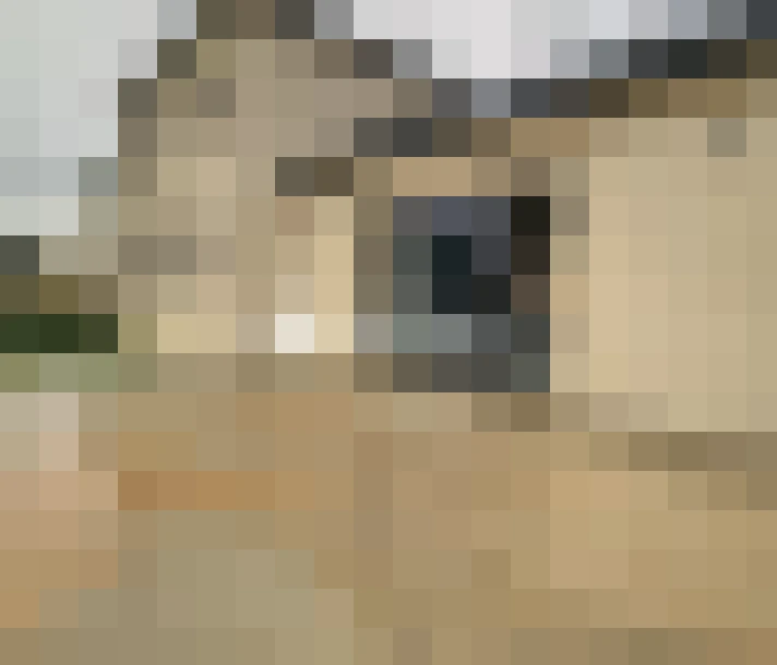  / #13