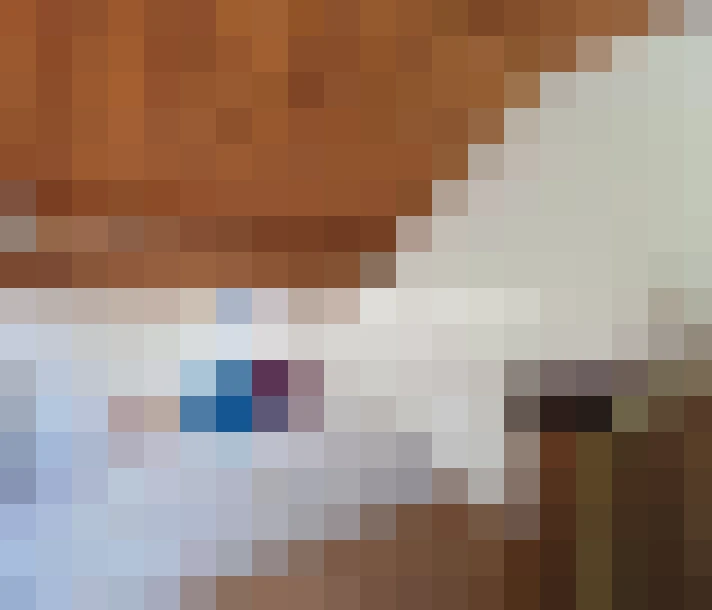  / #15
