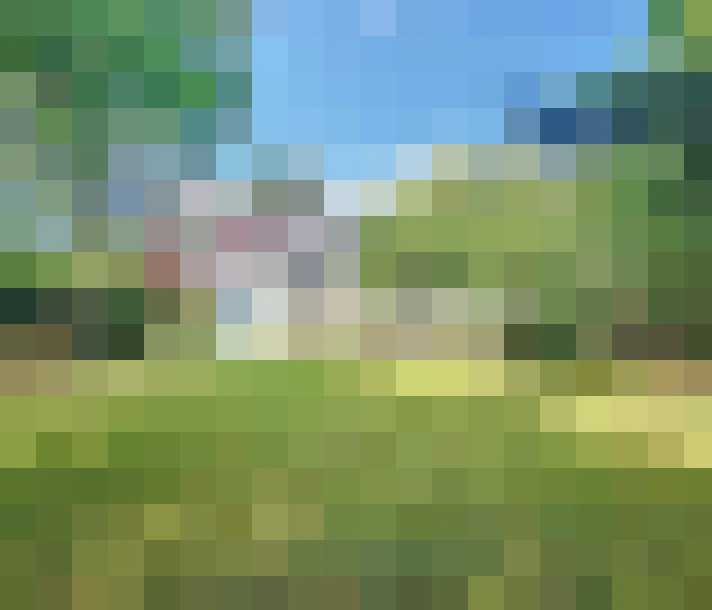  / #17