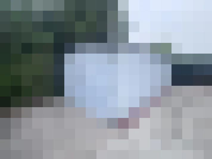  / #14