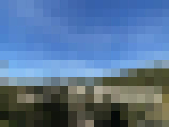  / #7
