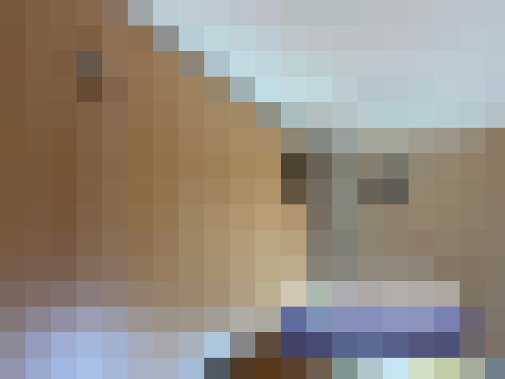  / #8