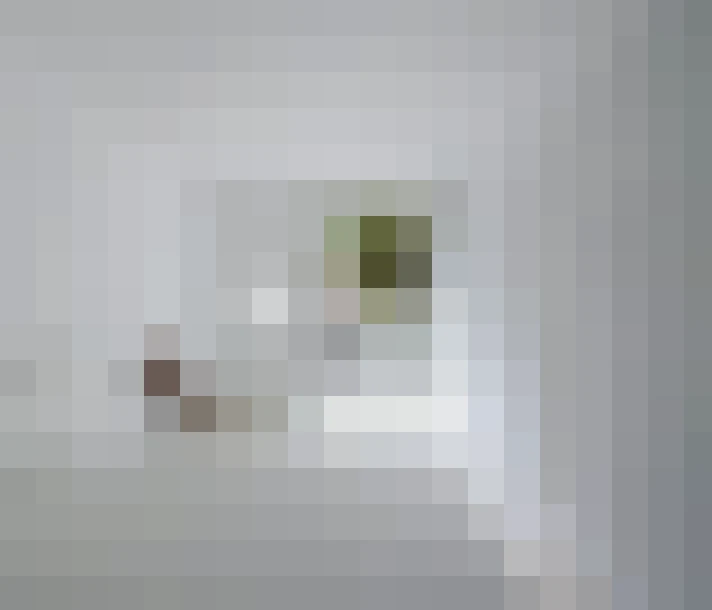  / #24