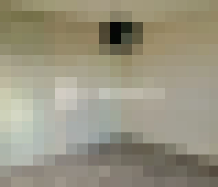  / #7