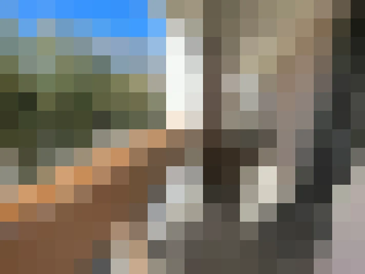  / #18