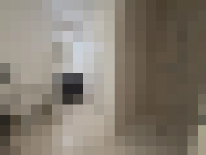  / #8