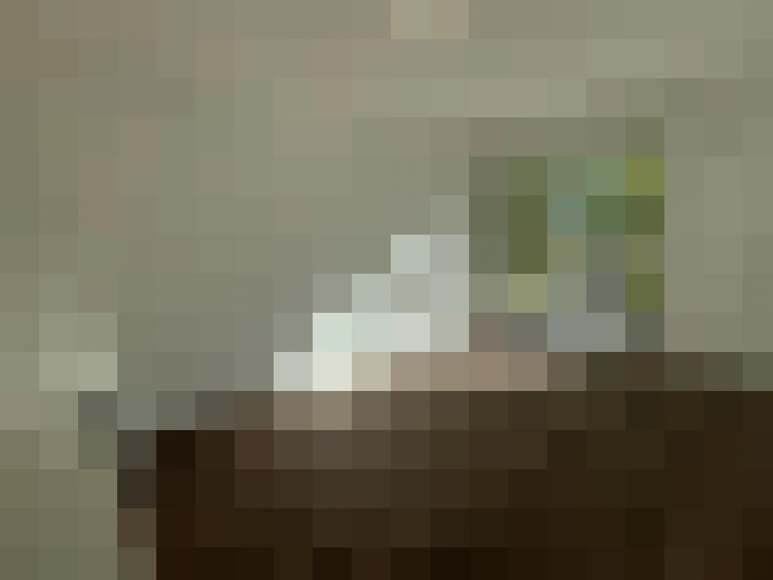  / #16