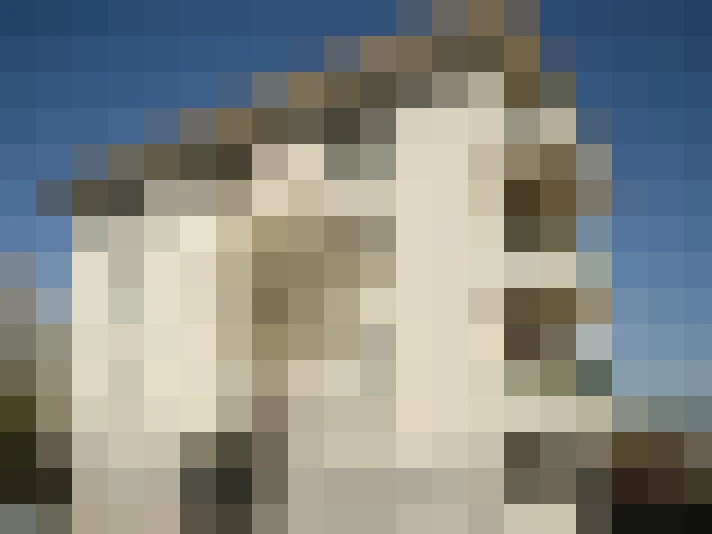  / #7