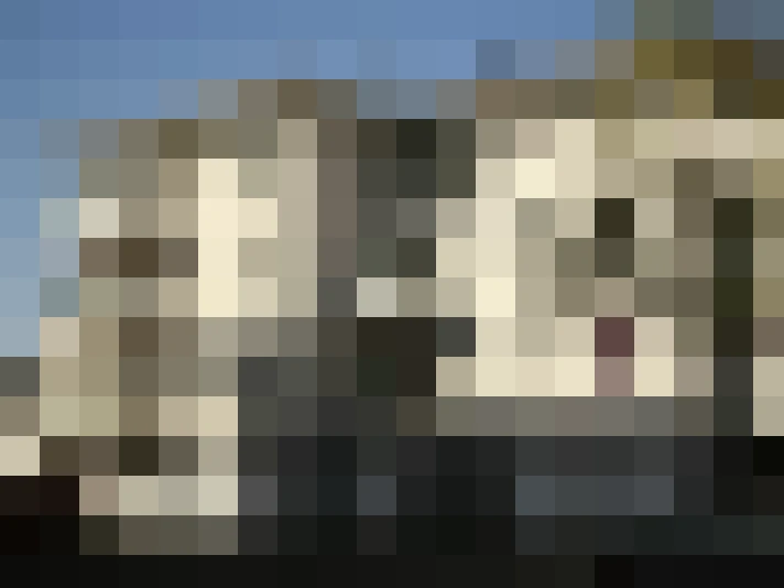  / #9