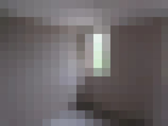  / #8