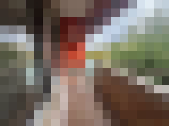  / #15