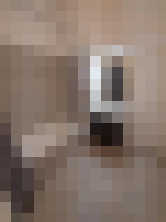  / #15
