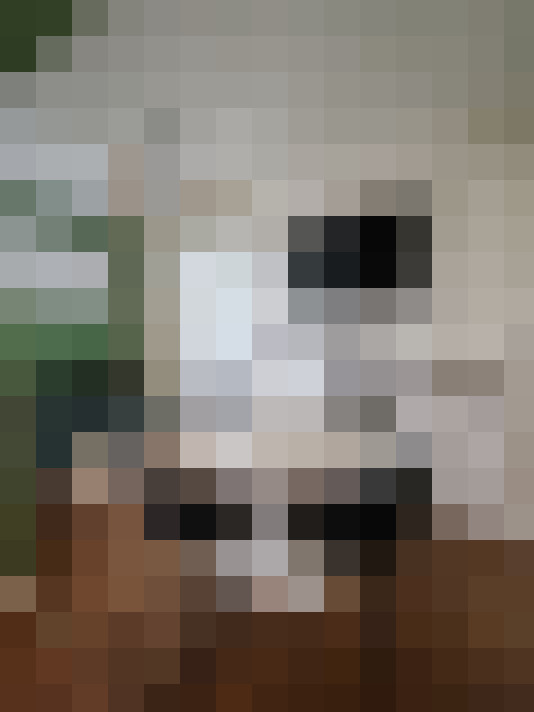  / #9