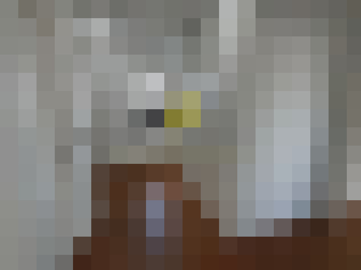  / #14
