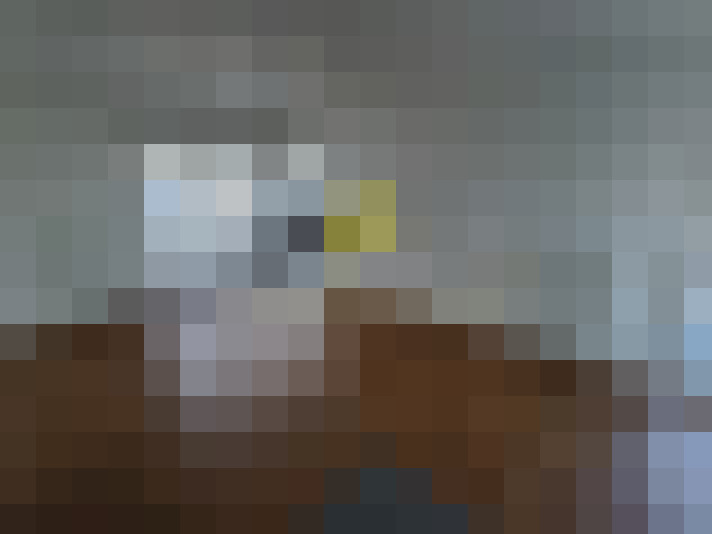  / #7