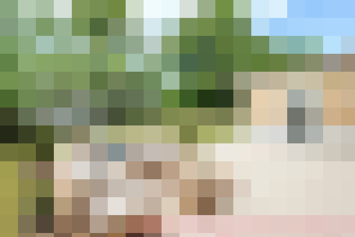  / #7