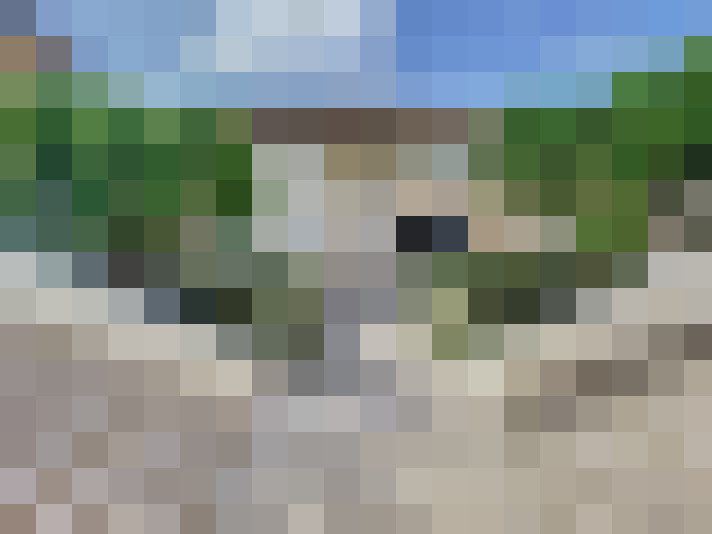  / #7